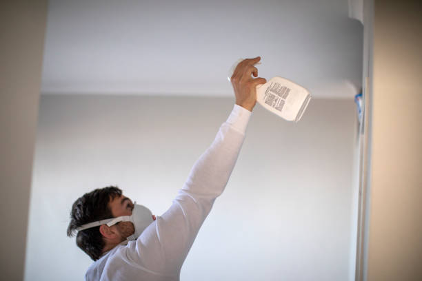 Mold Removal and Inspection in Falfurrias, TX